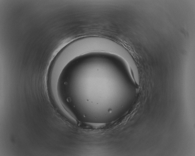 X0000116340292200912291617