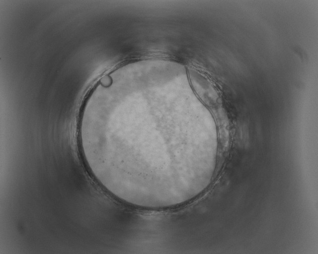 X0000116340293200912291617