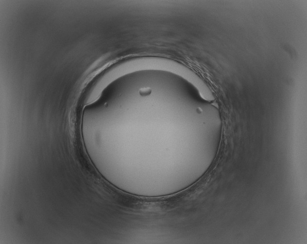 X0000116340295200912291617