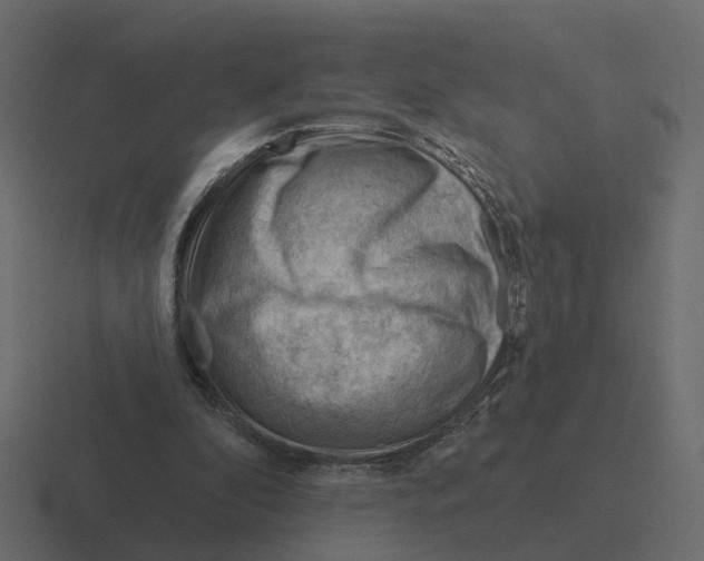 X0000116340296200912291617