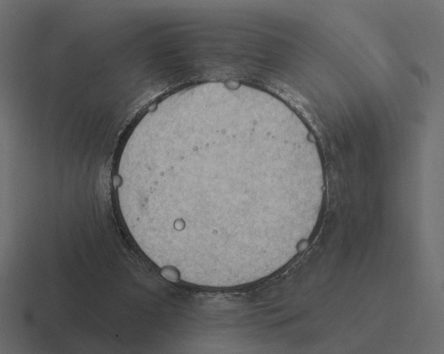 X0000116340297200912291617