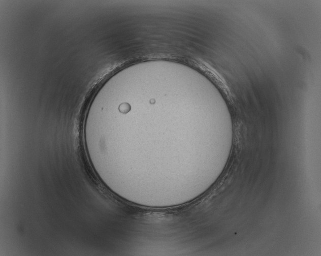 X0000116340298200912291617