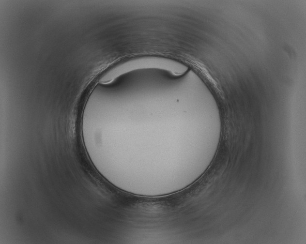 X0000116340299200912291617