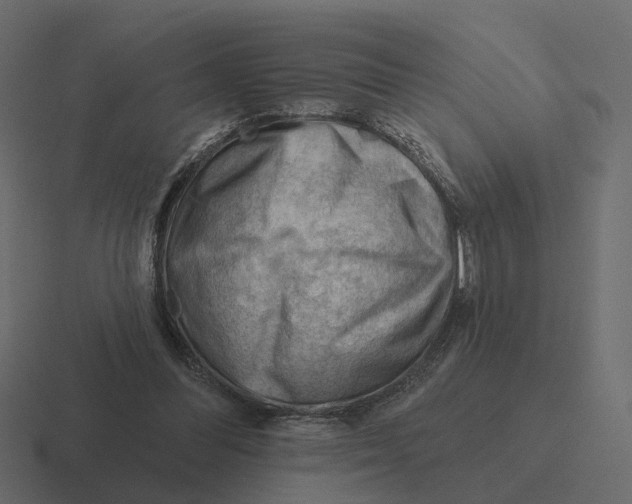 X0000116340300200912291617