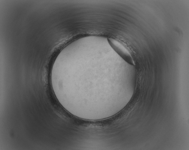 X0000116340303200912291617