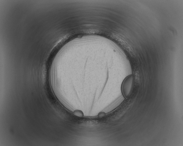 X0000116340304200912291617