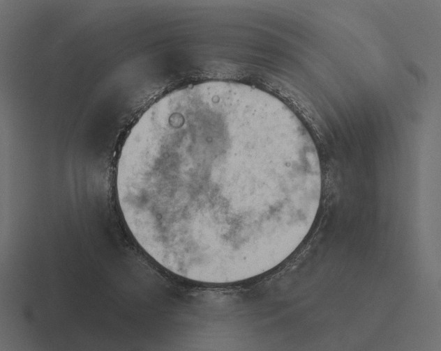 X0000116340305200912291617