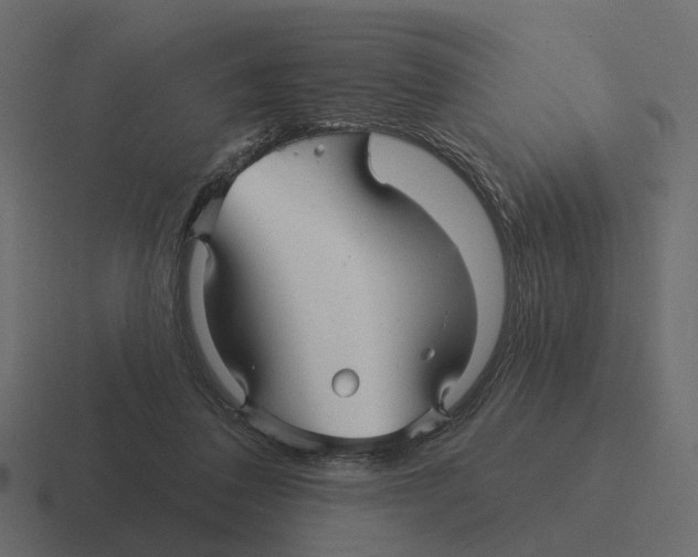 X0000116340308200912291617