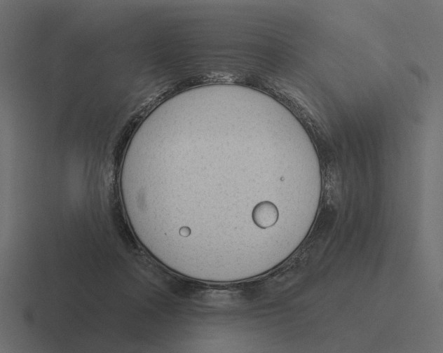 X0000116340314200912291617