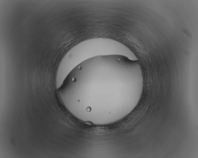 X0000116340320200912291617