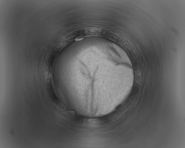 X0000116340324200912291617