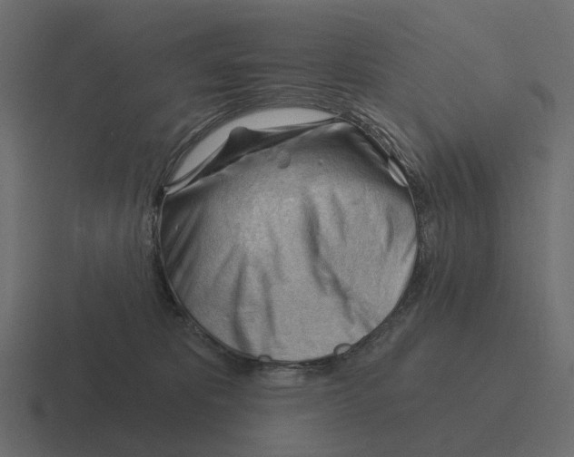 X0000116340325200912291617