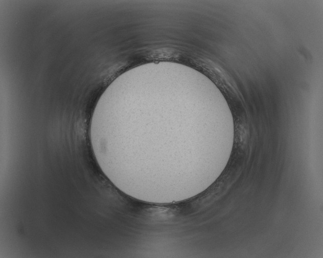 X0000116340326200912291617