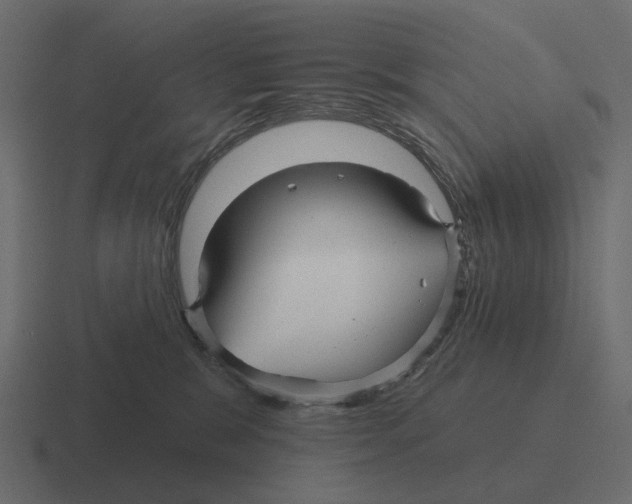 X0000116340327200912291617