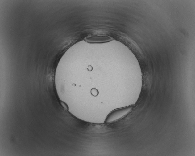 X0000116340329200912291617