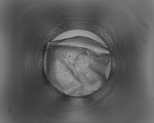 X0000116340332200912291617