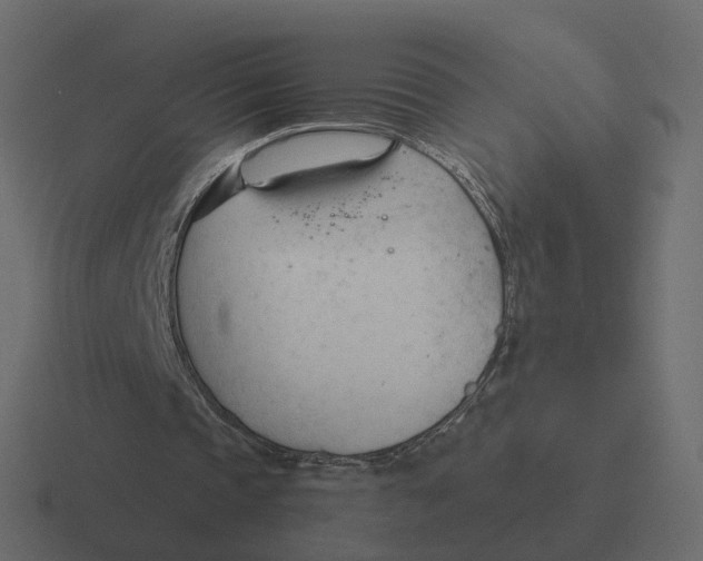 X0000116340337200912291616