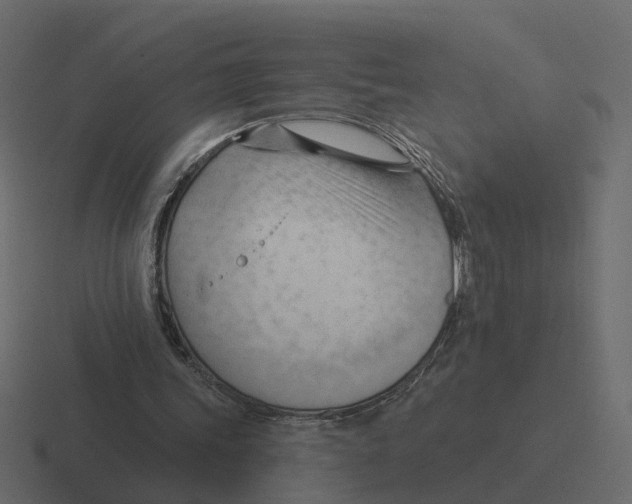 X0000116340339200912291616