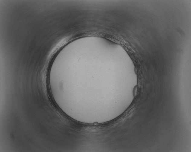 X0000116340341200912291616