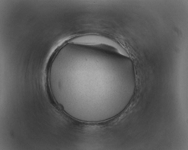 X0000116340342200912291616