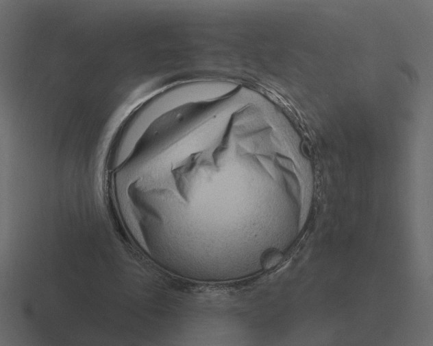 X0000116340343200912291616