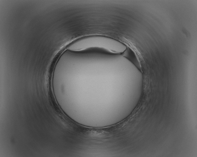 X0000116340346200912291616