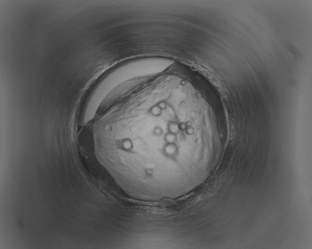 X0000116340347200912291616