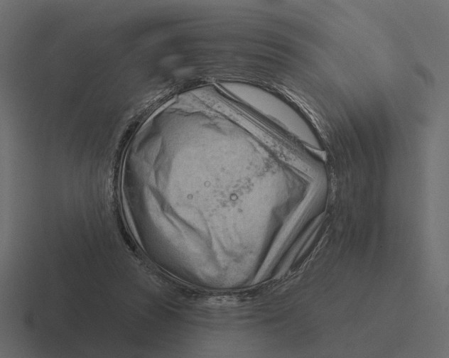 X0000116340353200912291616