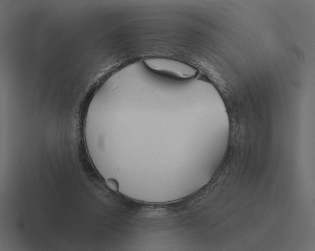 X0000116340354200912291616