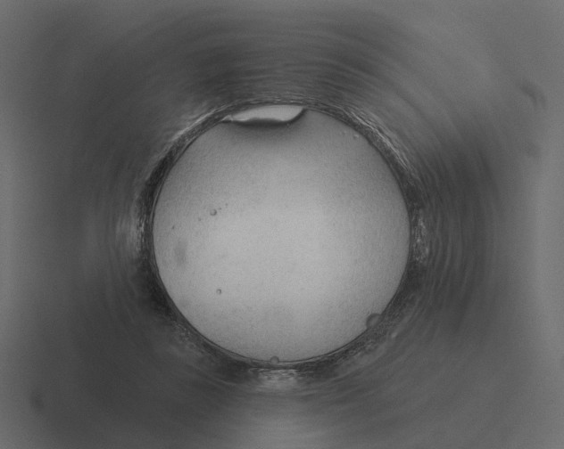 X0000116340355200912291616