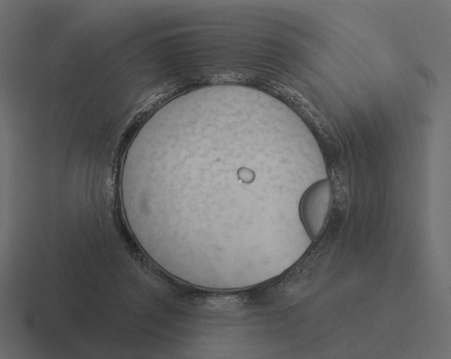 X0000116340357200912291616