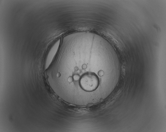 X0000116340359200912291616