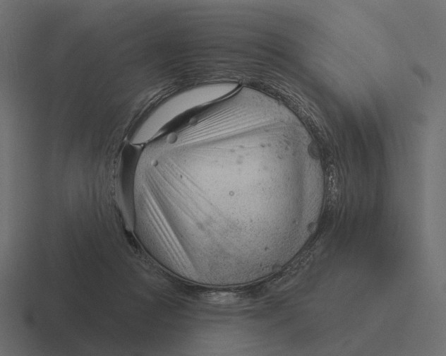 X0000116340361200912291616