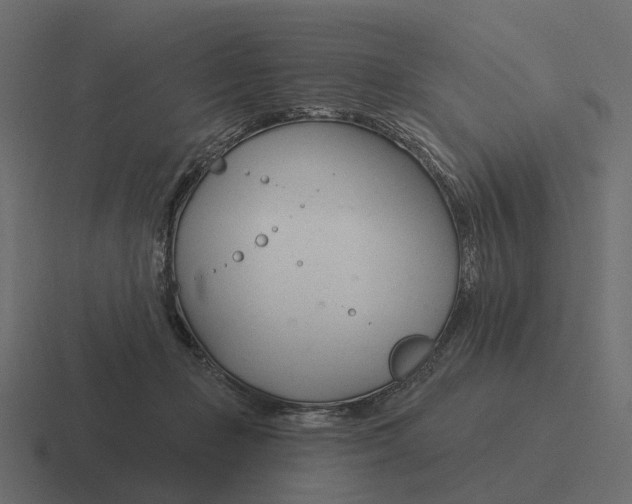 X0000116340365200912291617