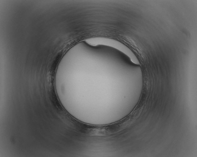 X0000116340366200912291617