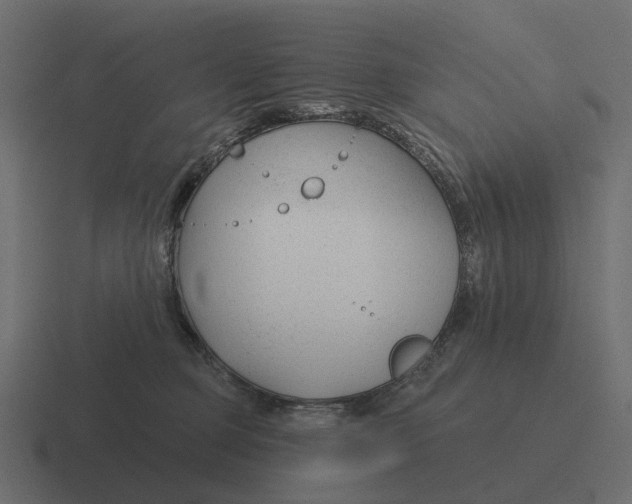 X0000116340373200912291617