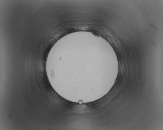 X0000116340374200912291617