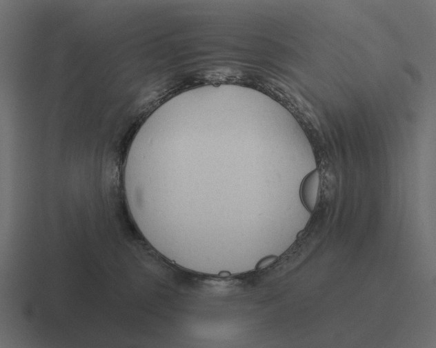 X0000116340375200912291617