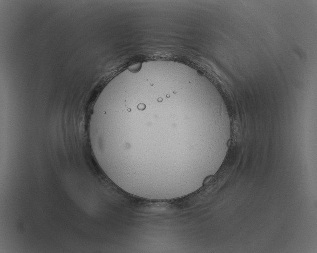 X0000116340377200912291617