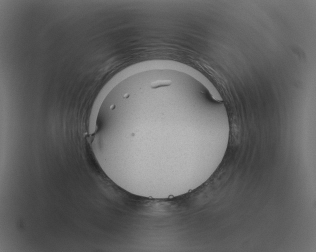 X0000116340379200912291617