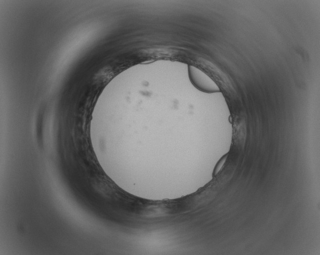 X0000116340381200912291617