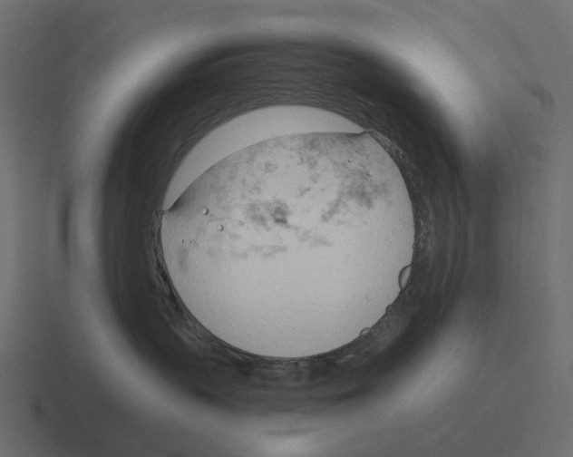 X0000116340383200912291617