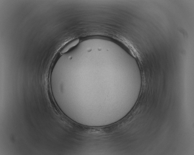 X0000116340386200912291616