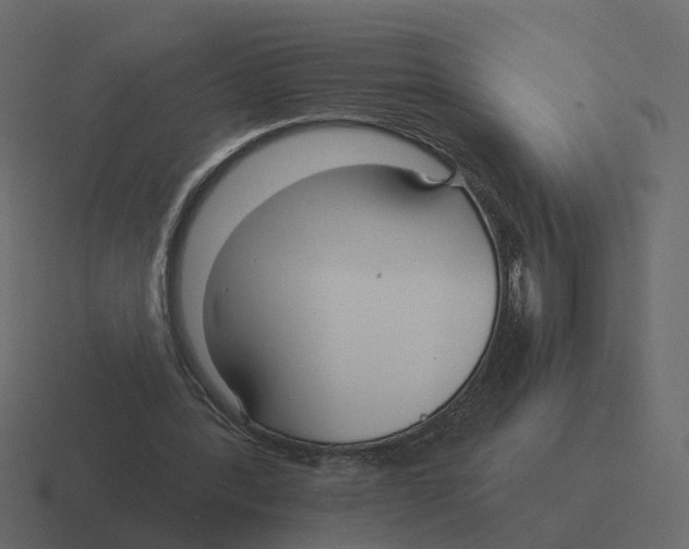 X0000116340388200912291616