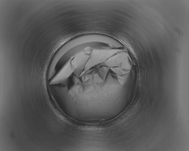 X0000116340389200912291616