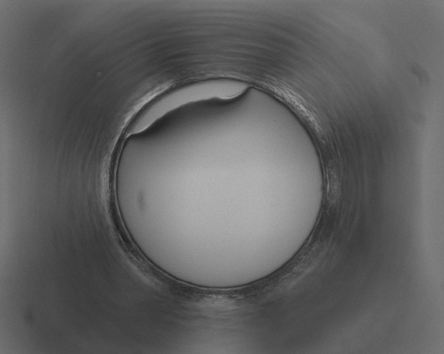 X0000116340390200912291616