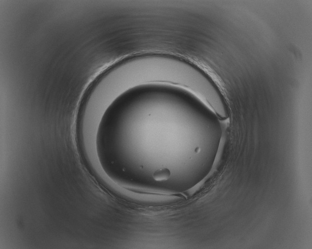 X0000116340391200912291616