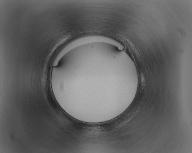 X0000116340396200912291616