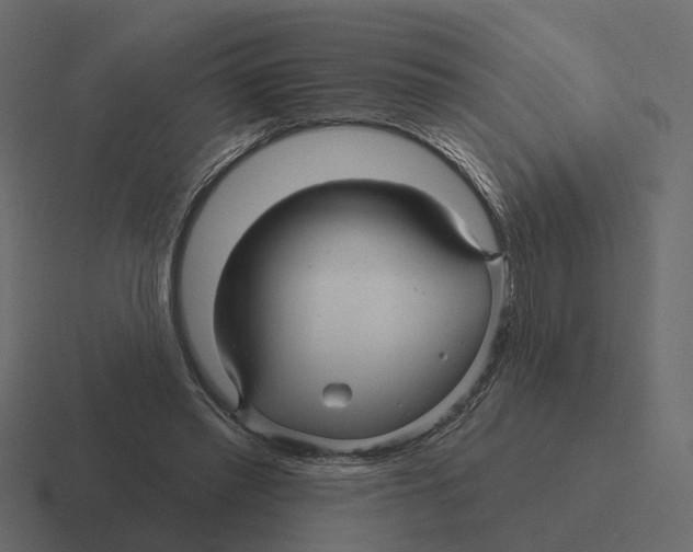 X0000116340397200912291616