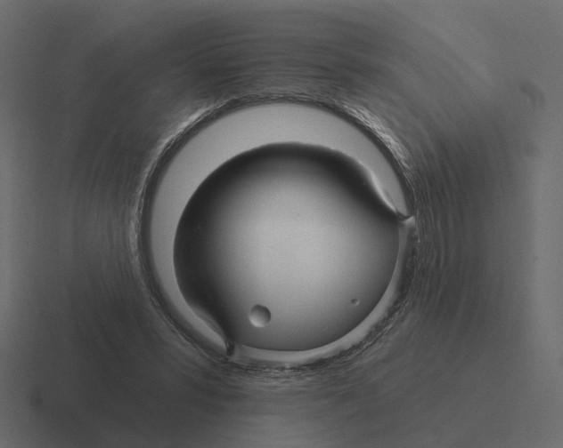 X0000116340399200912291616